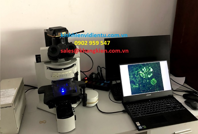 Kính hiển vi Olympus BX-51-0902 959 547.jpg